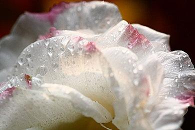 《马力欧激战前锋》试玩版发布 联网试玩下周末启动